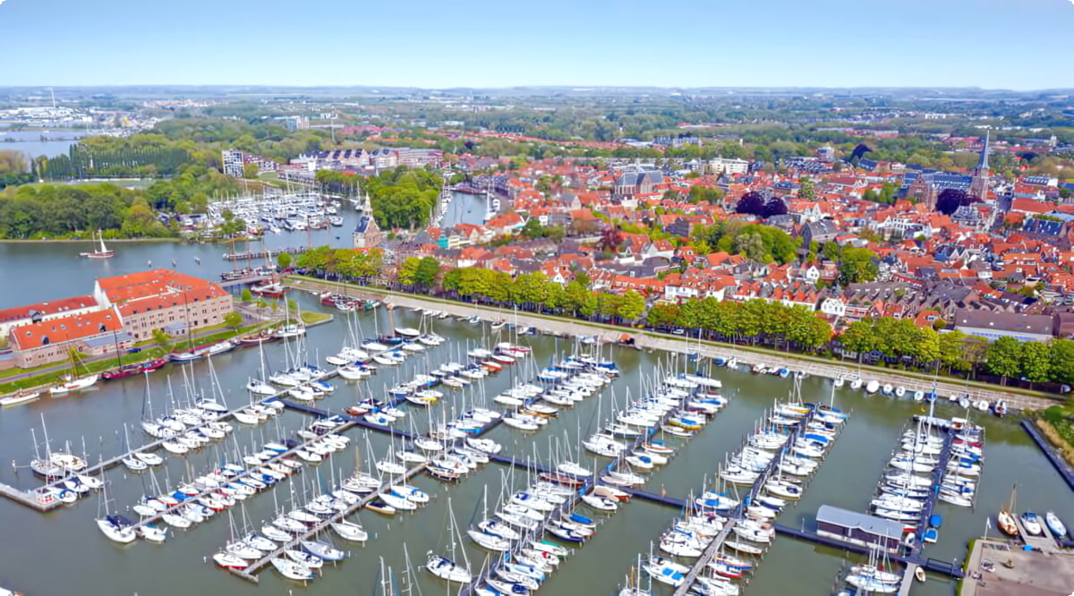 Il nostro inventario include una vasta gamma di veicoli.